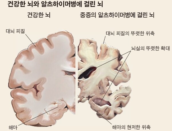 사진 : 과학잡지 뉴턴 [단행본 뉴턴하이라이트 시리즈]