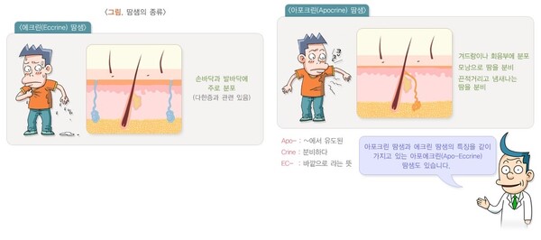더워지는 날씨의 불청객, ‘땀’의 모든 것