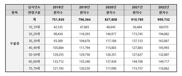 출처 : 건강보험심사평가원(HIRA) 빅데이터개방포털 자료 (도표 디자인 편집)
