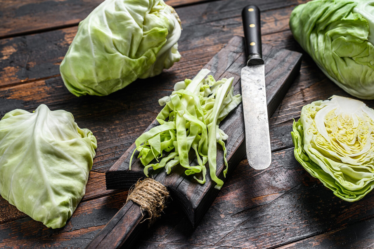 Designed by Freepik (https://www.freepik.com/)