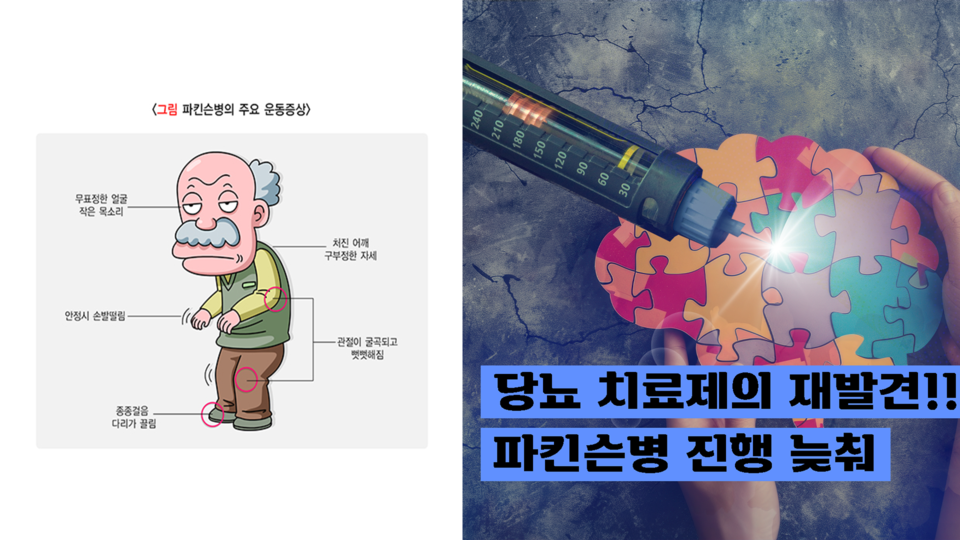 출처 질병관리청