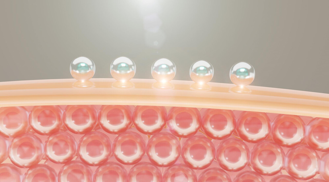 Designed by Freepik (https://www.freepik.com/)