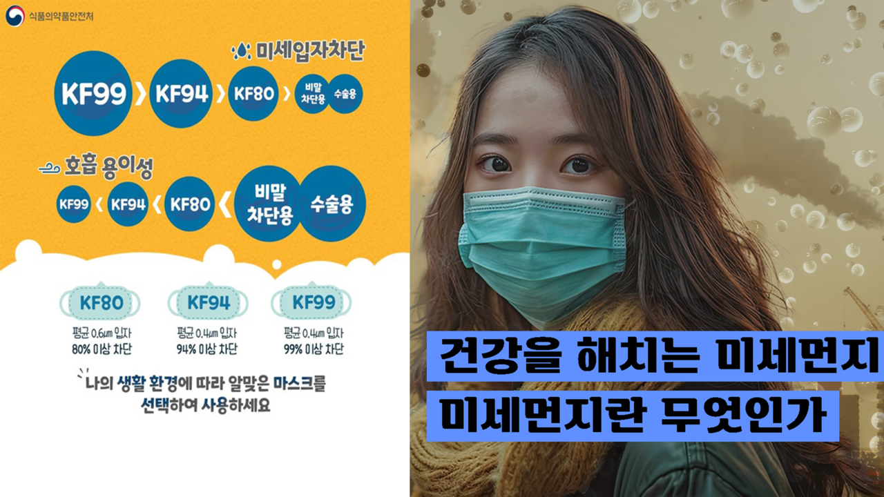 출처-식품의약안전처