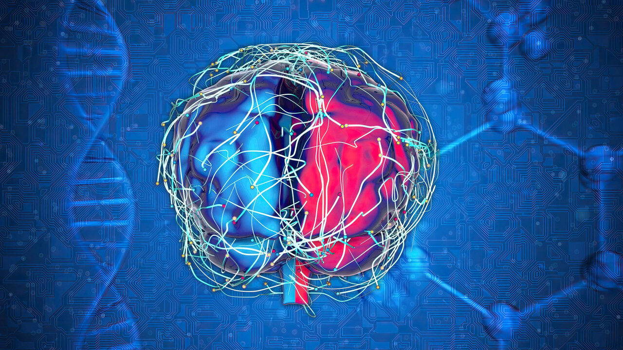 Designed by Freepik (https://www.freepik.com/)