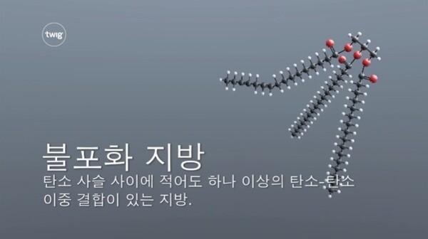  출처 : 'Twig Education' 네이버TV