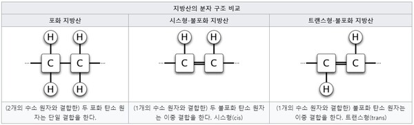 출처 : 위키백과 '트랜스 지방' 항목