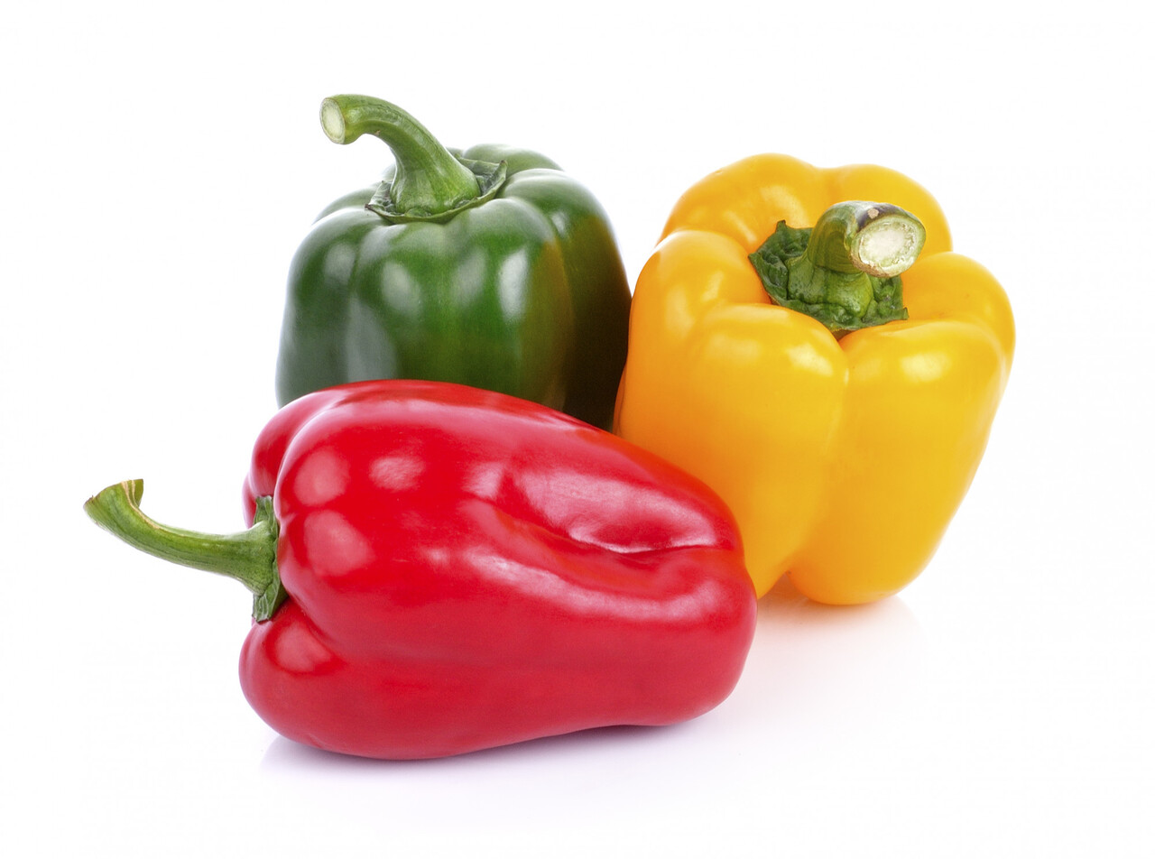 Designed by Freepik (https://www.freepik.com/)