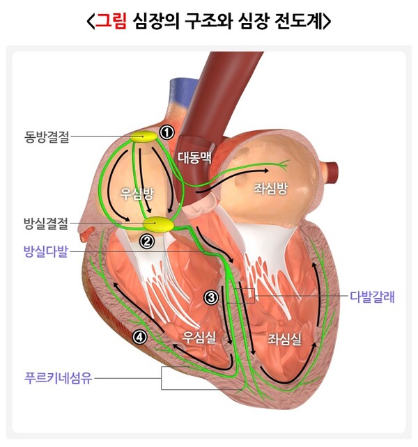 출처 : 국가건강정보포털 _ 부정맥