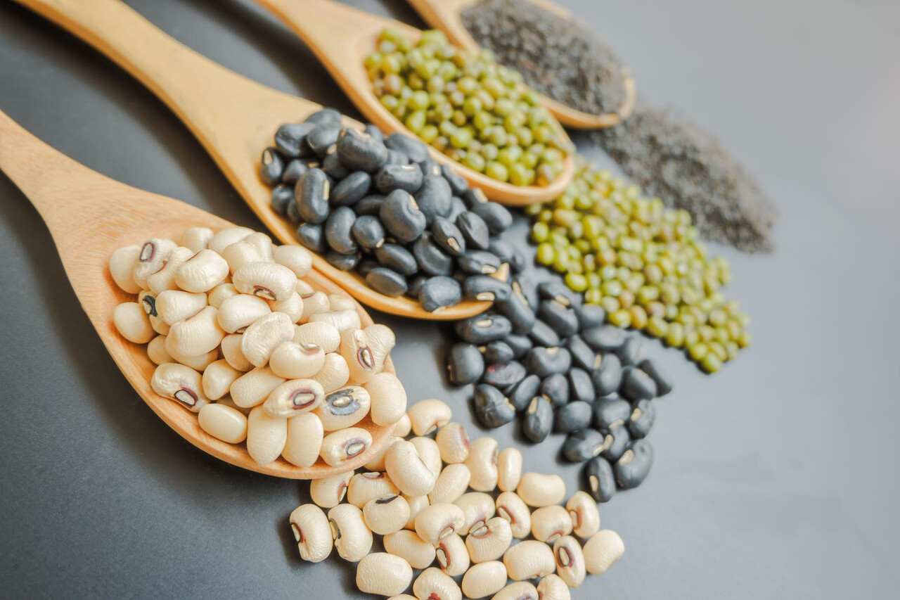 Designed by Freepik (https://www.freepik.com/)