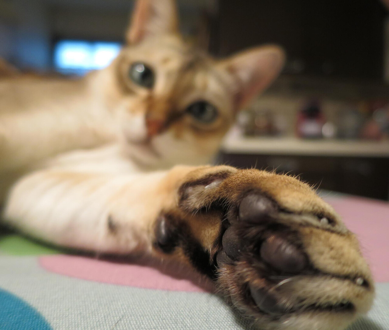 Designed by Freepik (https://www.freepik.com/)