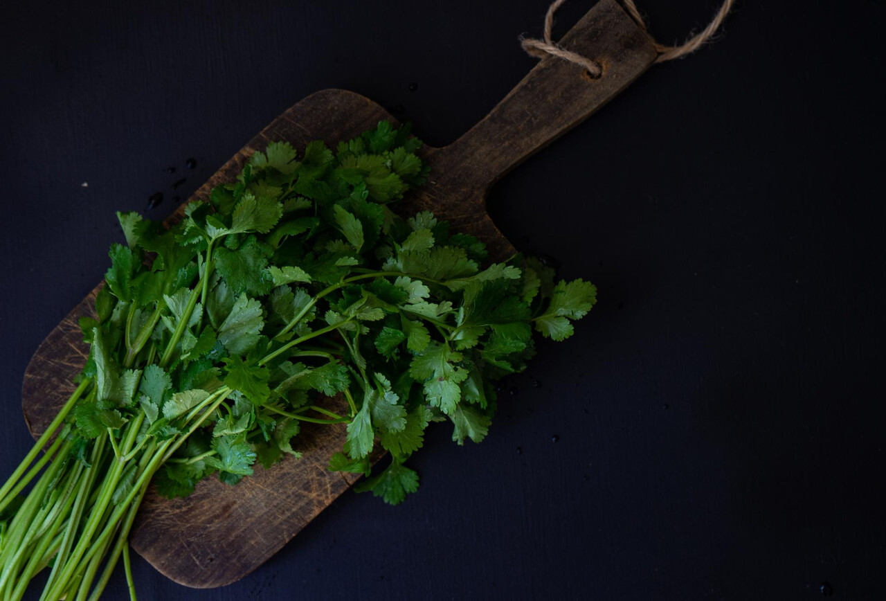 Designed by Freepik (https://www.freepik.com/)