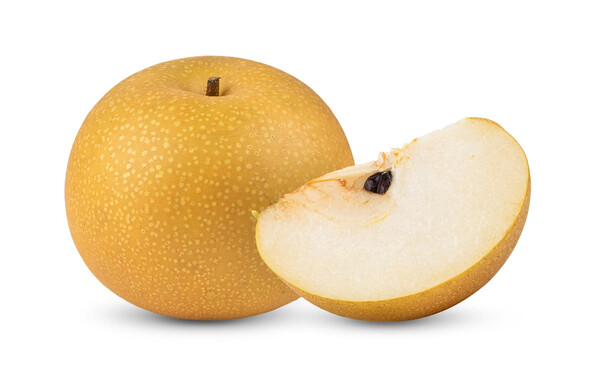 Designed by Freepik (https://www.freepik.com/)