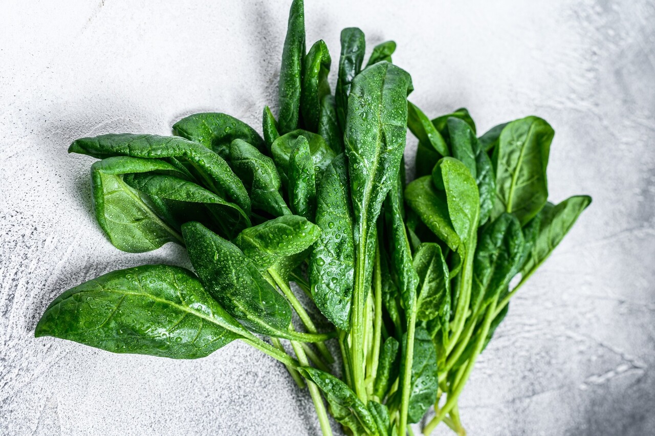 Designed by Freepik (https://www.freepik.com/)