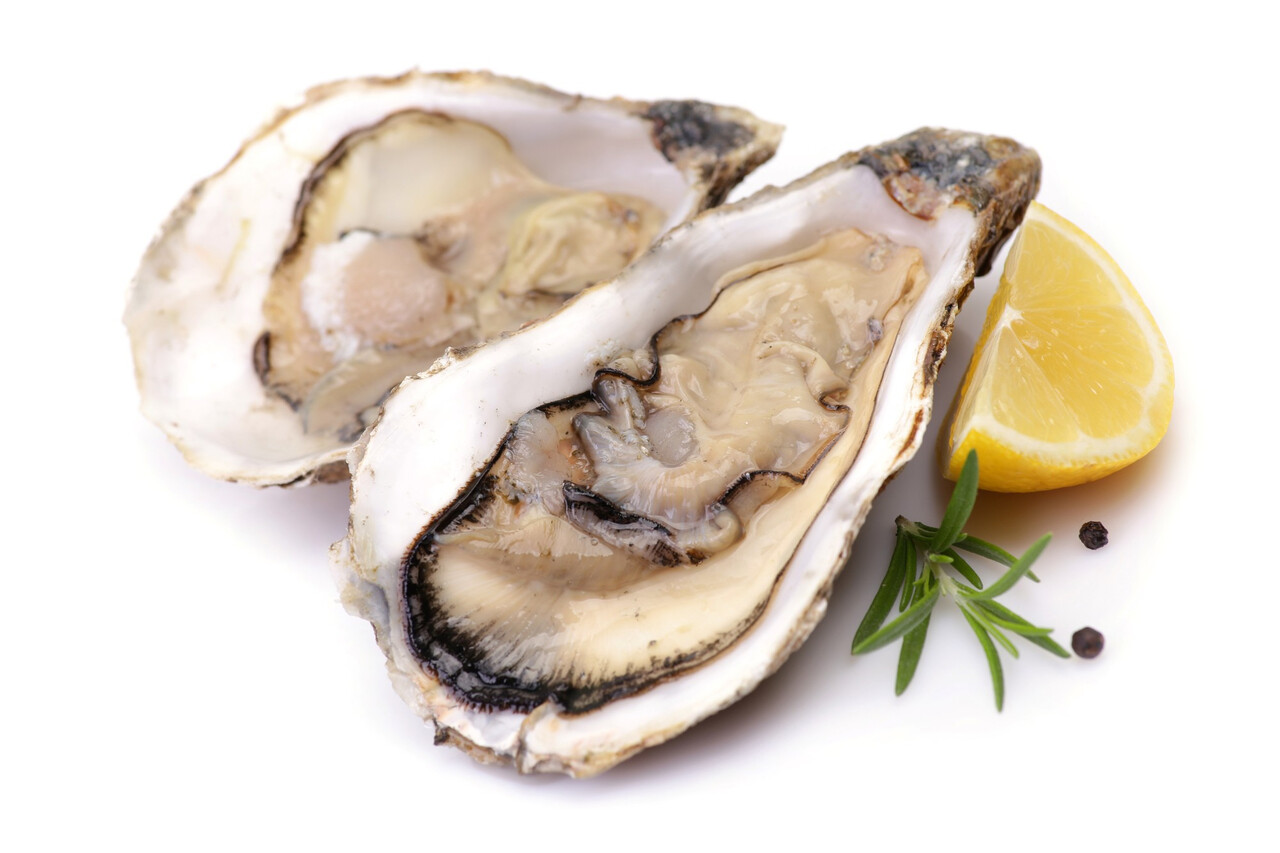 Designed by Freepik (https://www.freepik.com/)