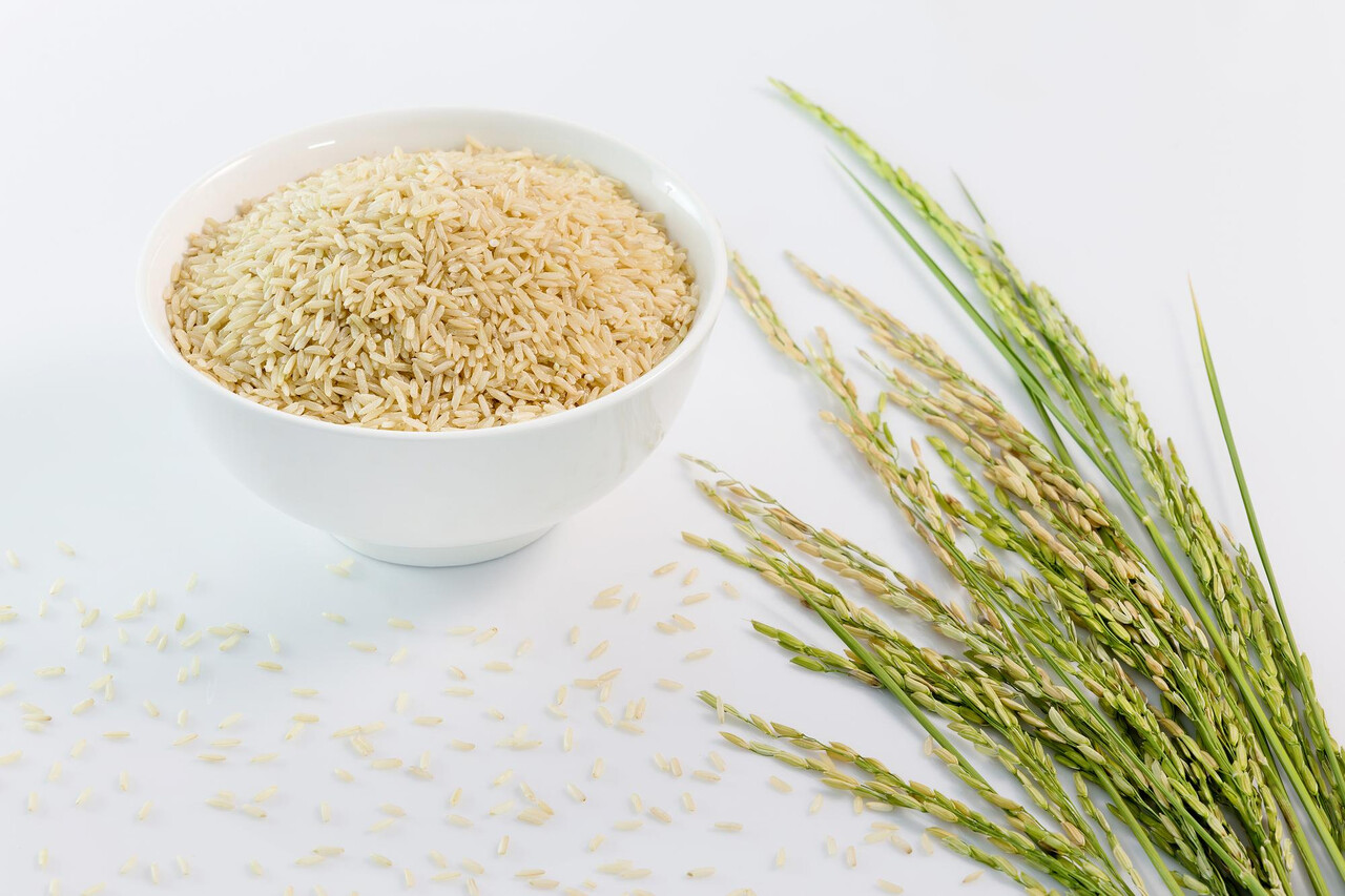 Designed by Freepik (https://www.freepik.com/)