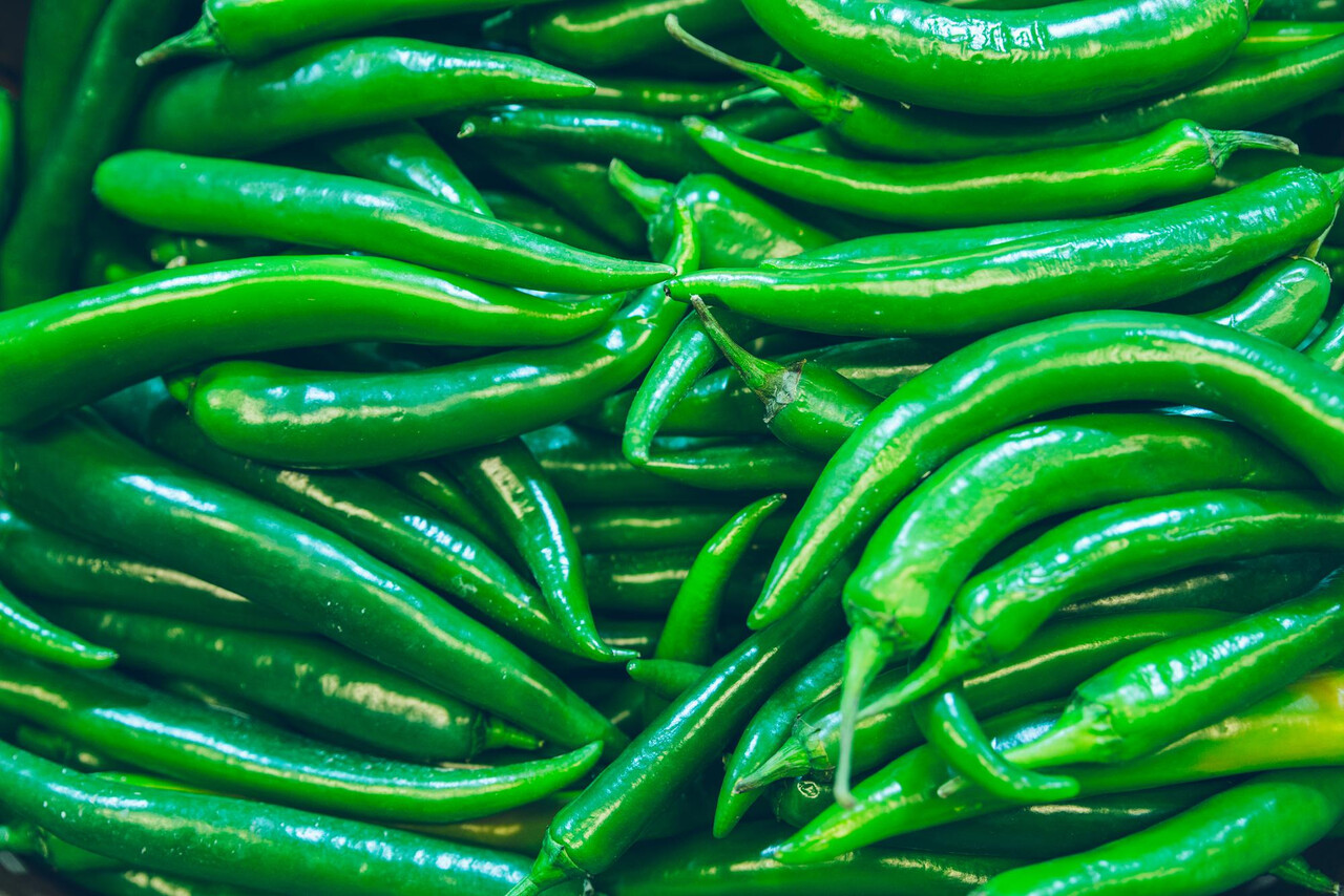 Designed by Freepik (https://www.freepik.com/)