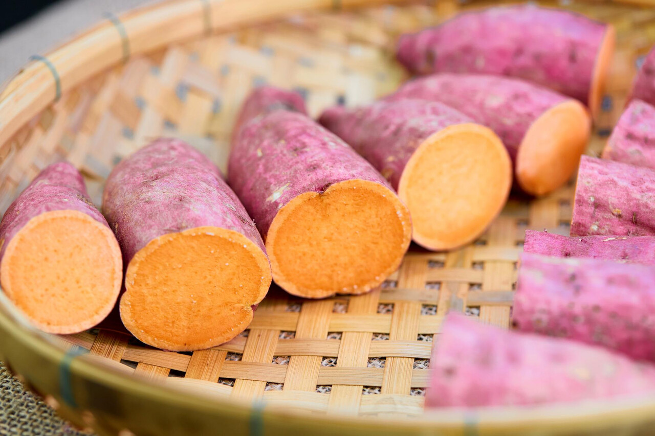 Designed by Freepik (https://www.freepik.com/)