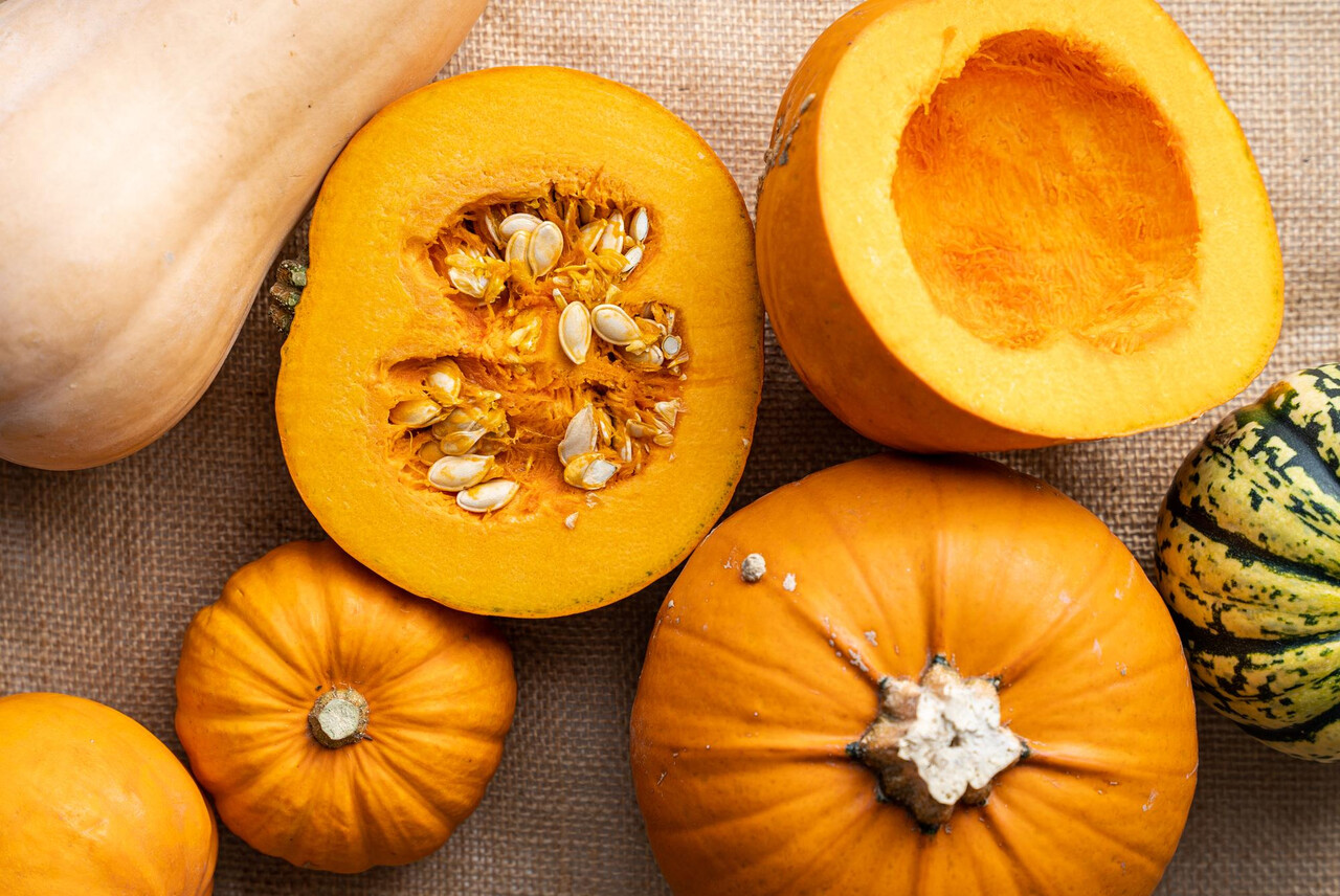 Designed by Freepik (https://www.freepik.com/)