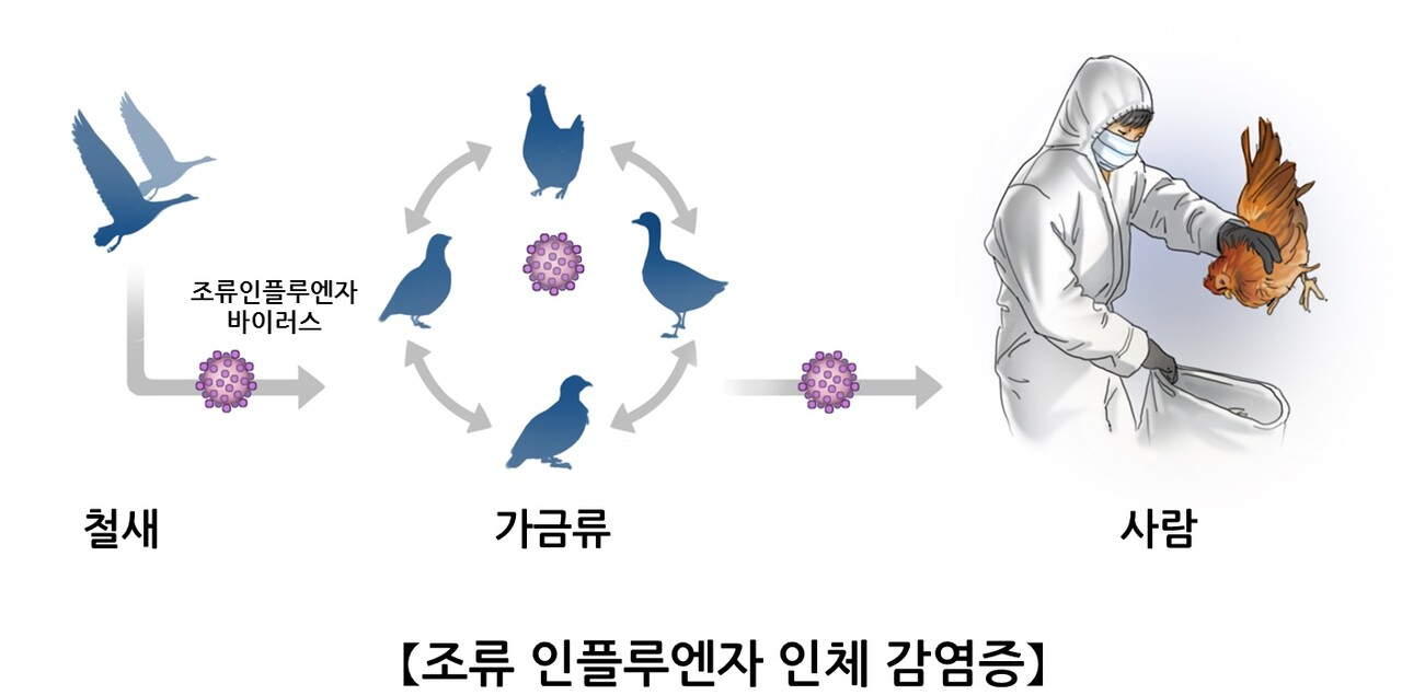 출처 : 서울아산병원 홈페이지