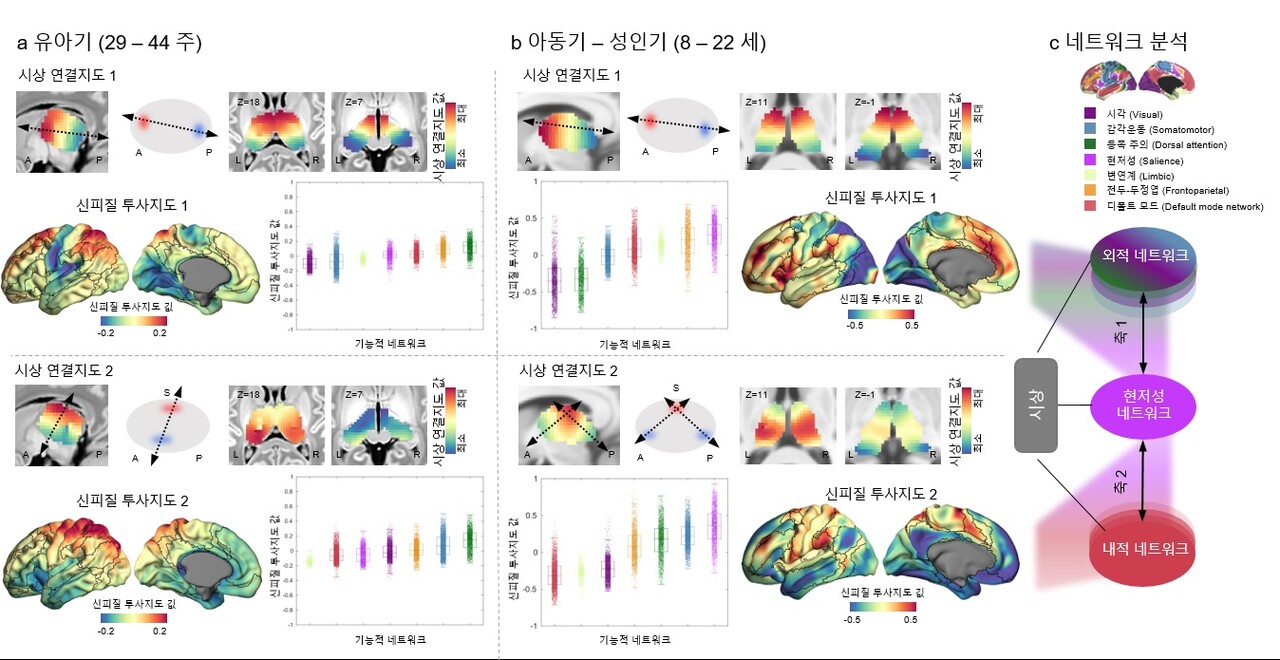 출처 : 기초과학연구원(IBS) 홈페이지