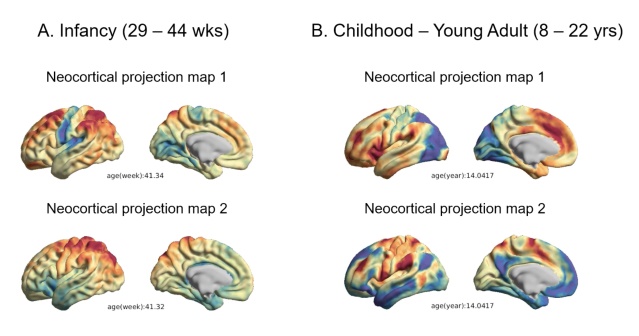 출처 : 기초과학연구원(IBS) 홈페이지