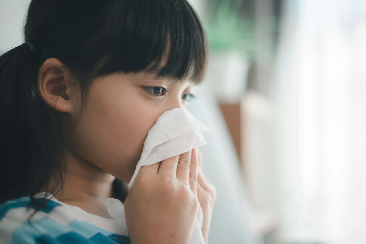 Designed by Freepik (https://www.freepik.com/)