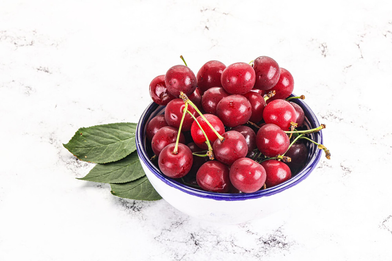 Designed by Freepik (https://www.freepik.com/)