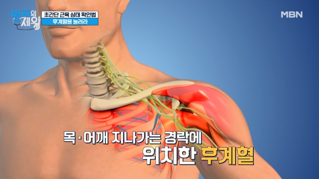 출처 : MBN '엄지의 제왕' 캡처