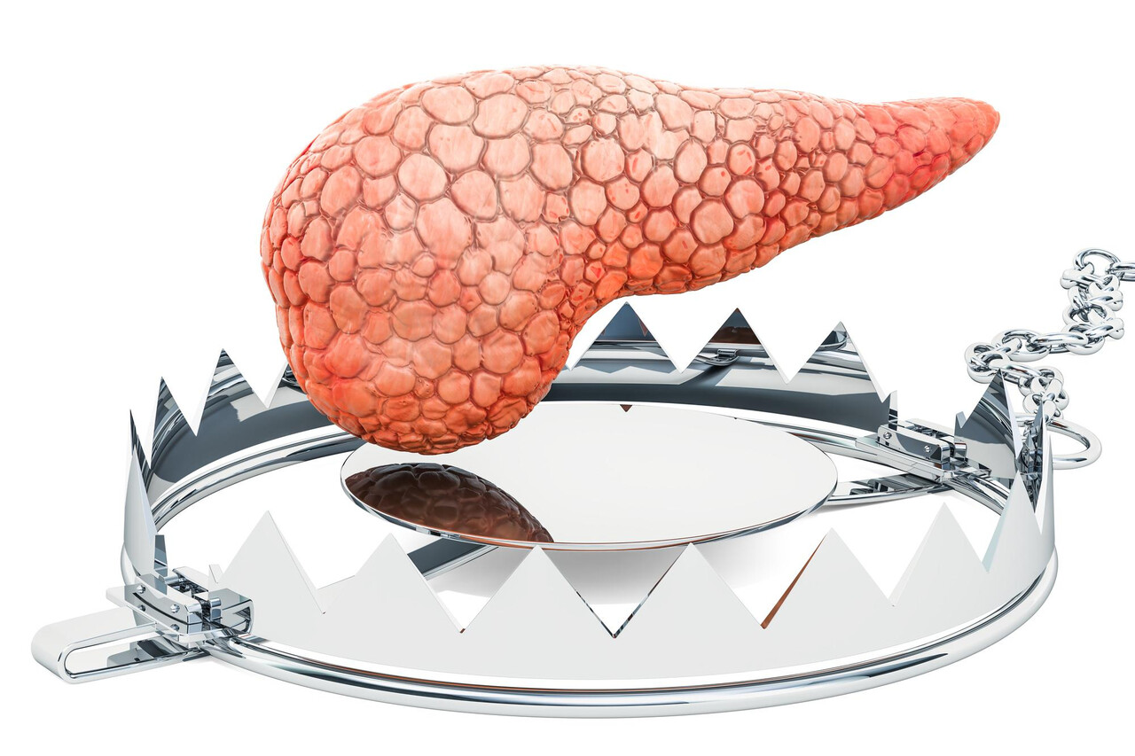 인슐린 저항성으로 인해 간을 비롯해 여러 장기 및 조직이 영향을 받을 수 있다 / Designed by Freepik (https://www.freepik.com/)