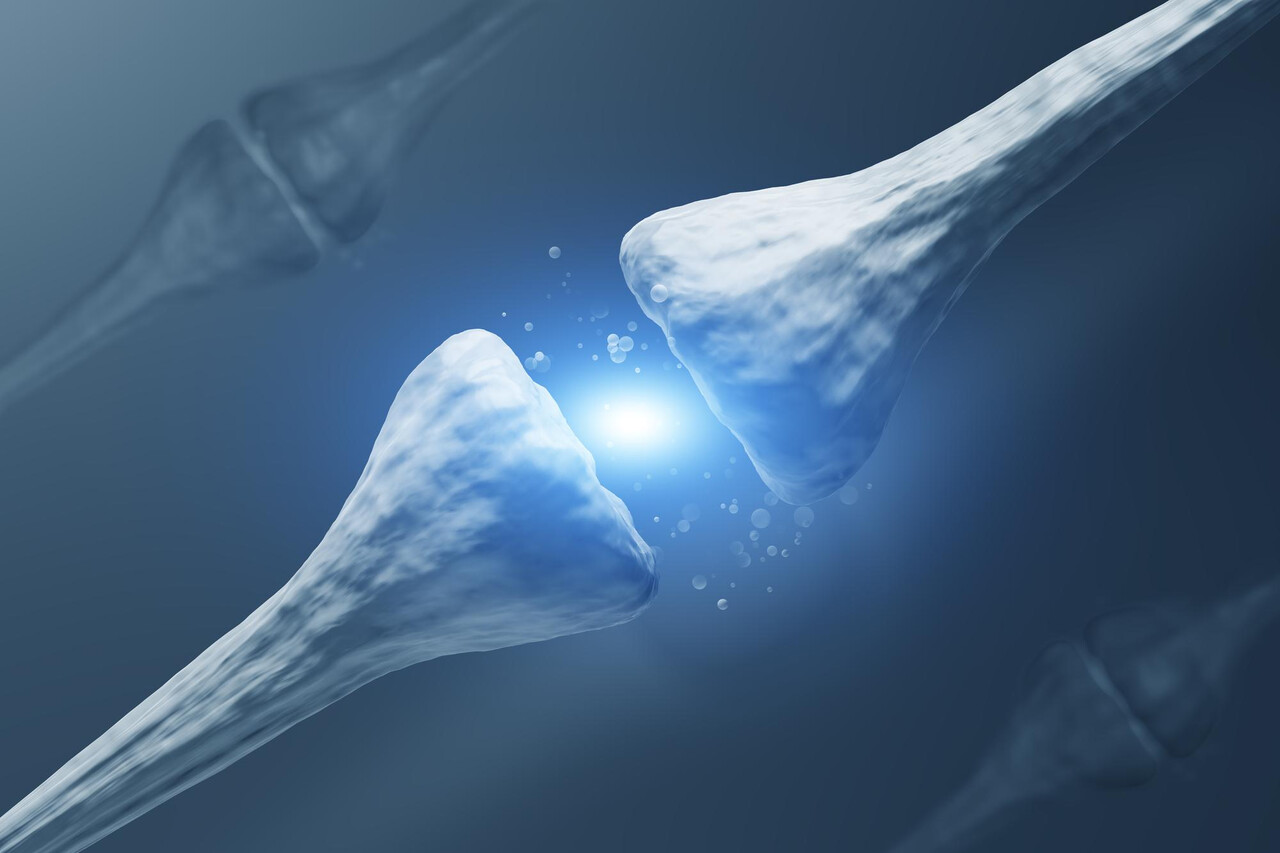 Designed by Freepik (https://www.freepik.com/)