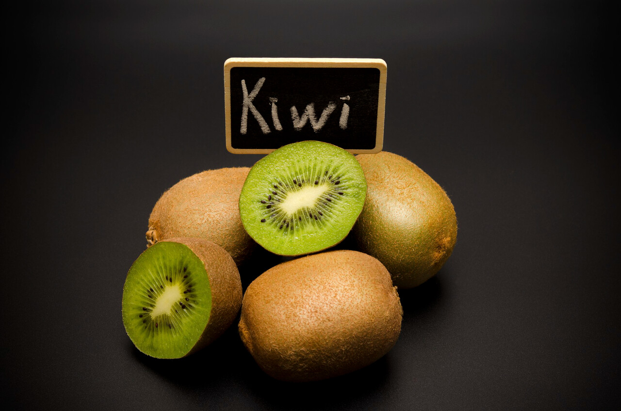 Designed by Freepik (https://www.freepik.com/)