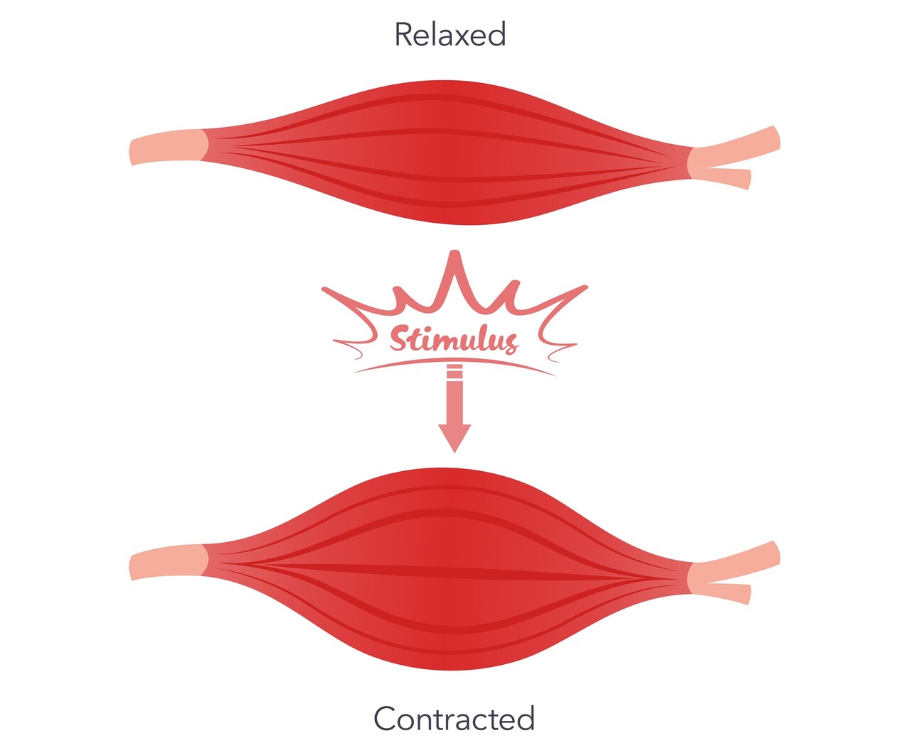 Designed by Freepik (https://www.freepik.com/)