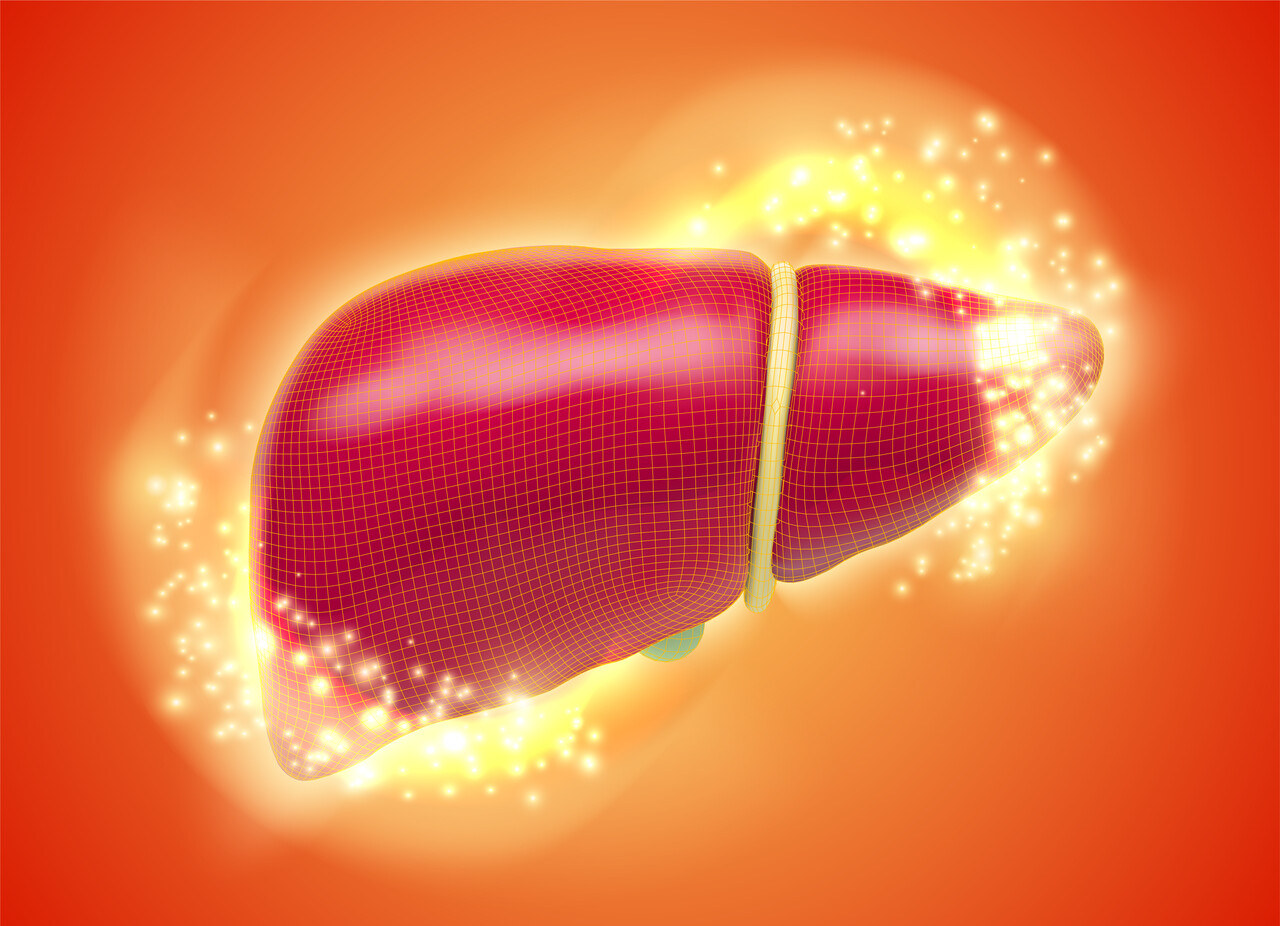 Designed by Freepik (https://www.freepik.com/)