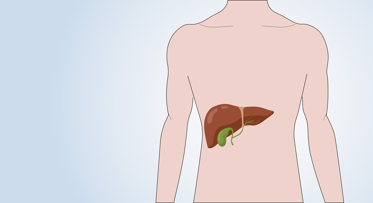 간의 위치 / Designed by Freepik (https://www.freepik.com/)