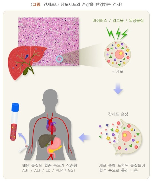 출처 : 질병관리청 국가건강정보포털