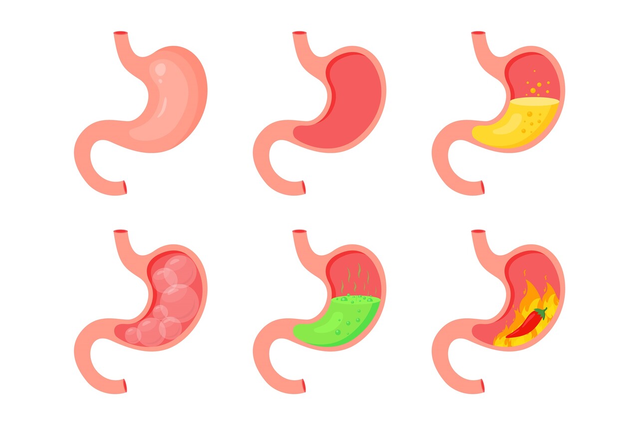 Designed by Freepik (https://www.freepik.com/)