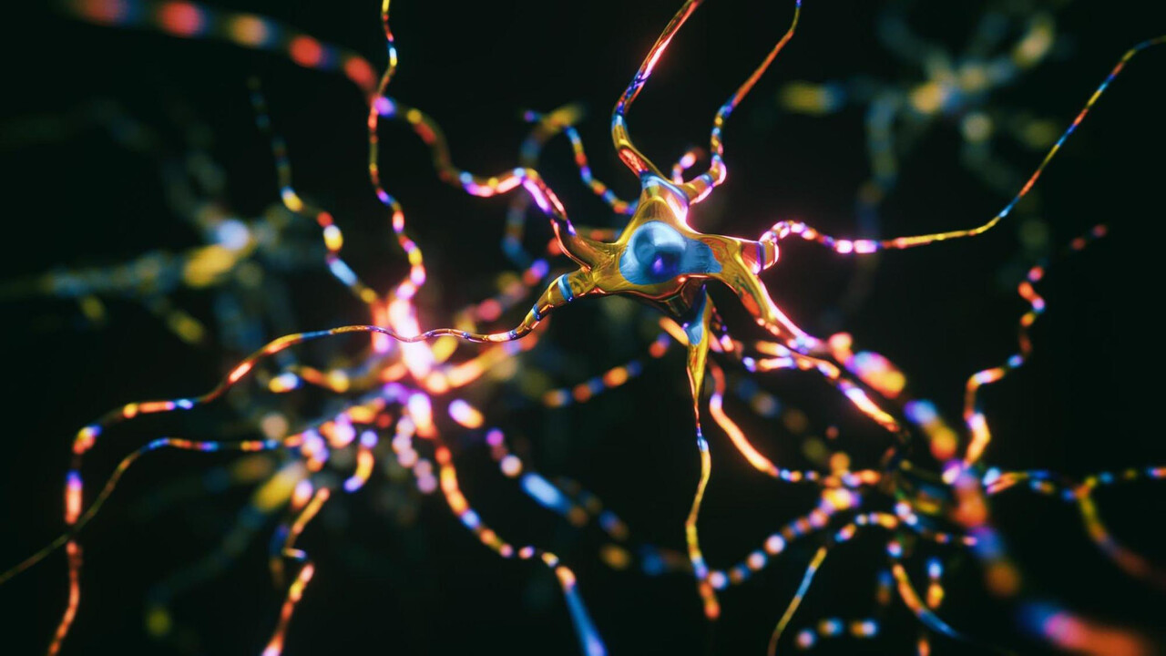 뉴런은 뇌 신경을 구성하는 기본단위로, 생성과 소멸을 반복한다 / Designed by Freepik (https://www.freepik.com/)