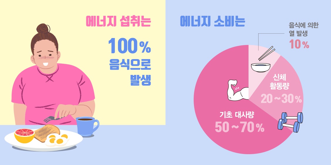 출처 : 분당서울대학교병원