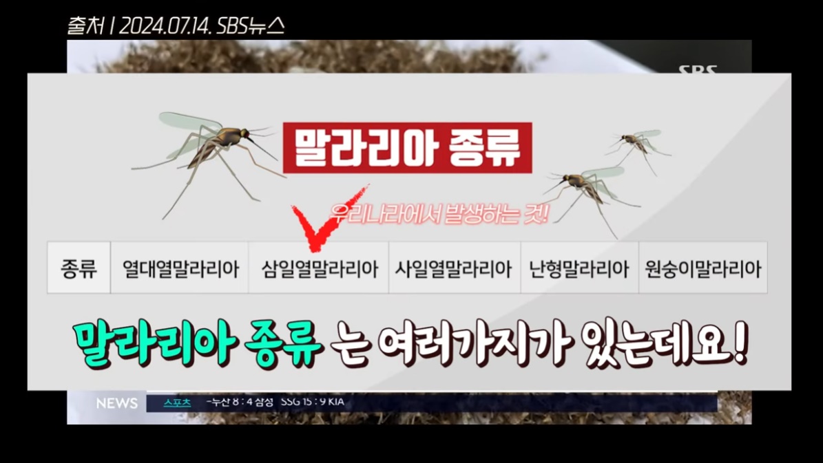 말라리아 종류는 여러 가지가 있다 / 출처 : 고대병원 유튜브 채널