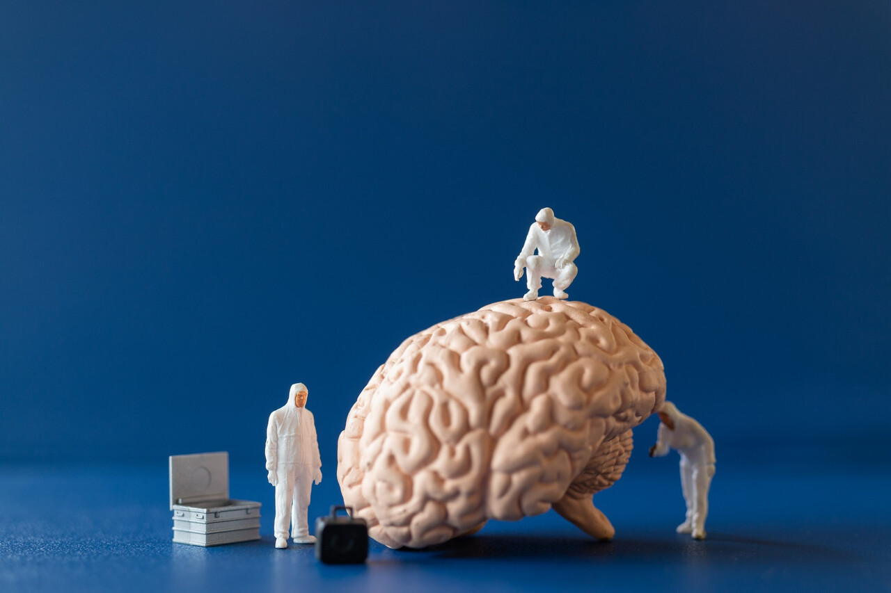 Designed by Freepik (https://www.freepik.com/)