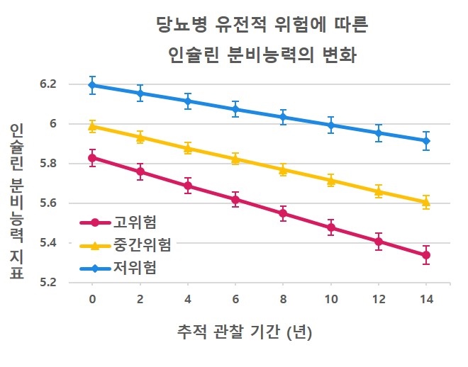 당뇨병 고위험군은 저위험군보다 1.83배 빠른 속도로 인슐린 분비능력이 감소 / 출처 : 서울대병원