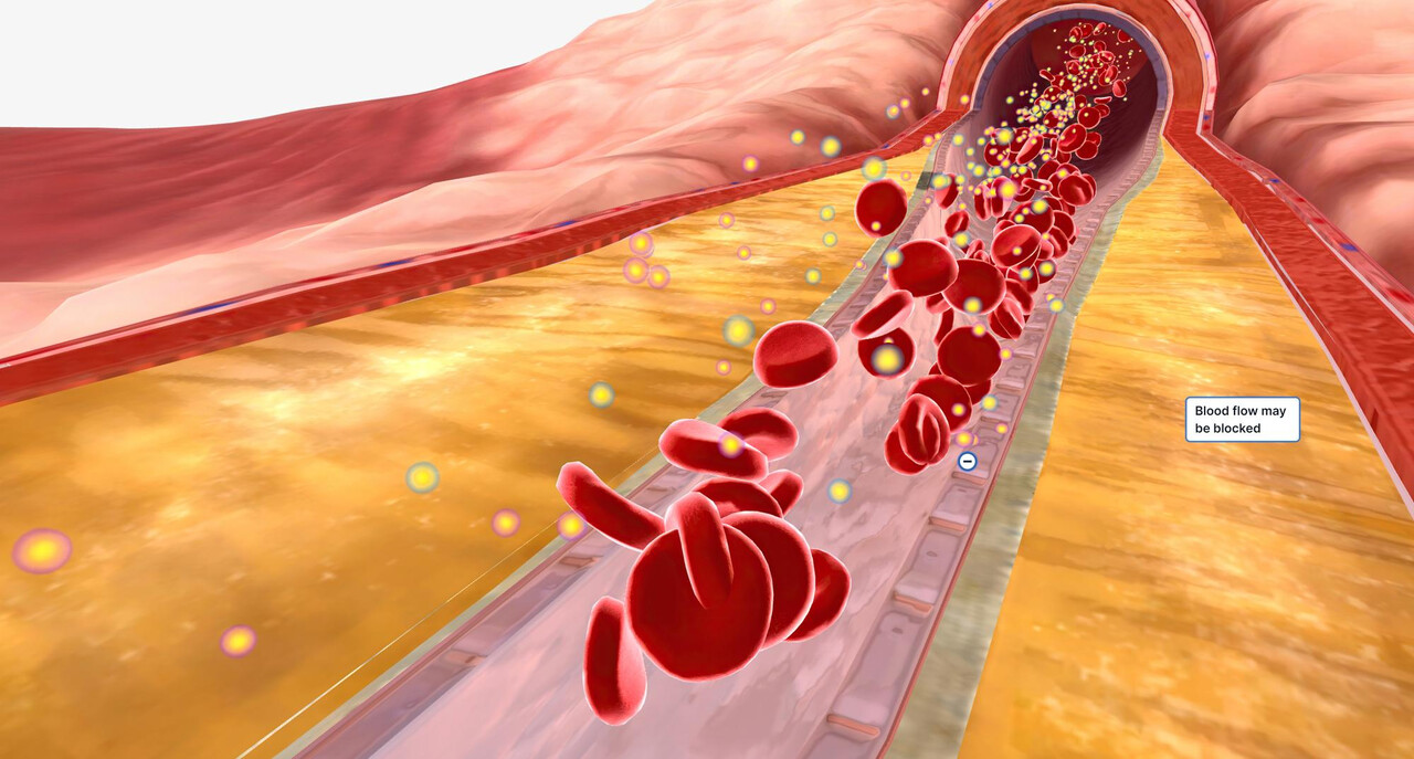 콜레스테롤은 혈관을 따라 움직이며 세포에 공급된다. / Designed by Freepik (https://www.freepik.com/)