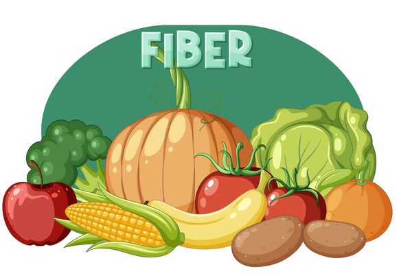 섬유질을 비롯한 '바이오 액티브' 섭취에 관심을 가져야 한다 / Designed by Freepik (https://www.freepik.com/)