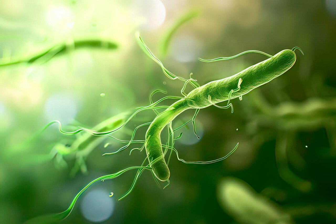 Designed by Freepik (https://www.freepik.com/)