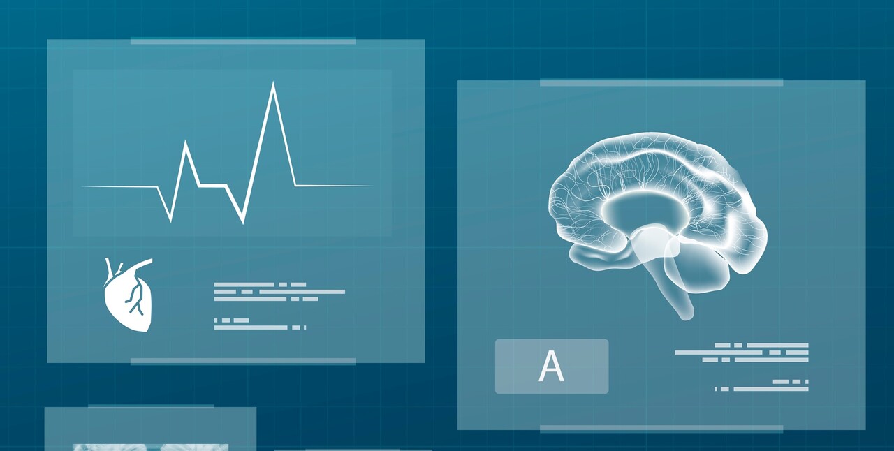 ※ 이미지는 기사 내용과 직접적인 관련이 없음 / Designed by Freepik (https://www.freepik.com/)