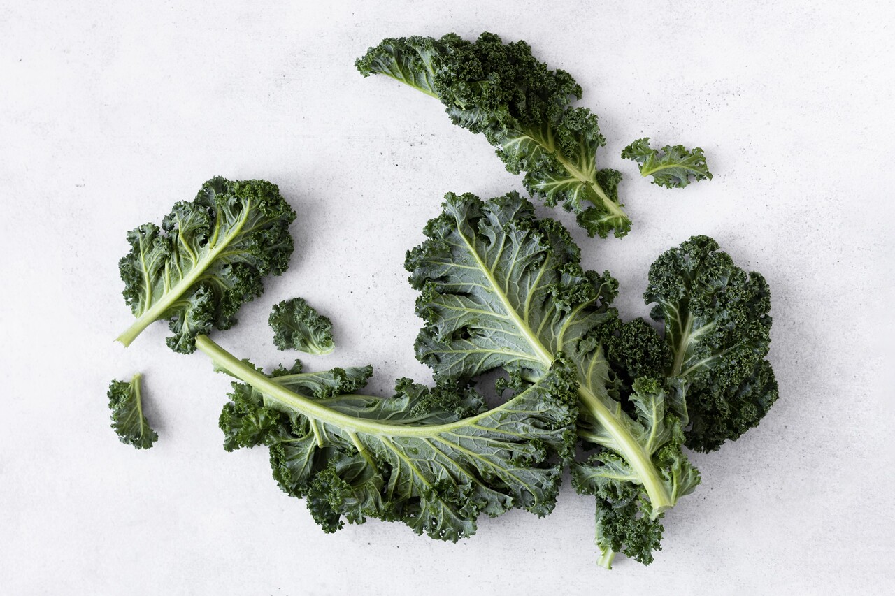 Designed by Freepik (https://www.freepik.com/)