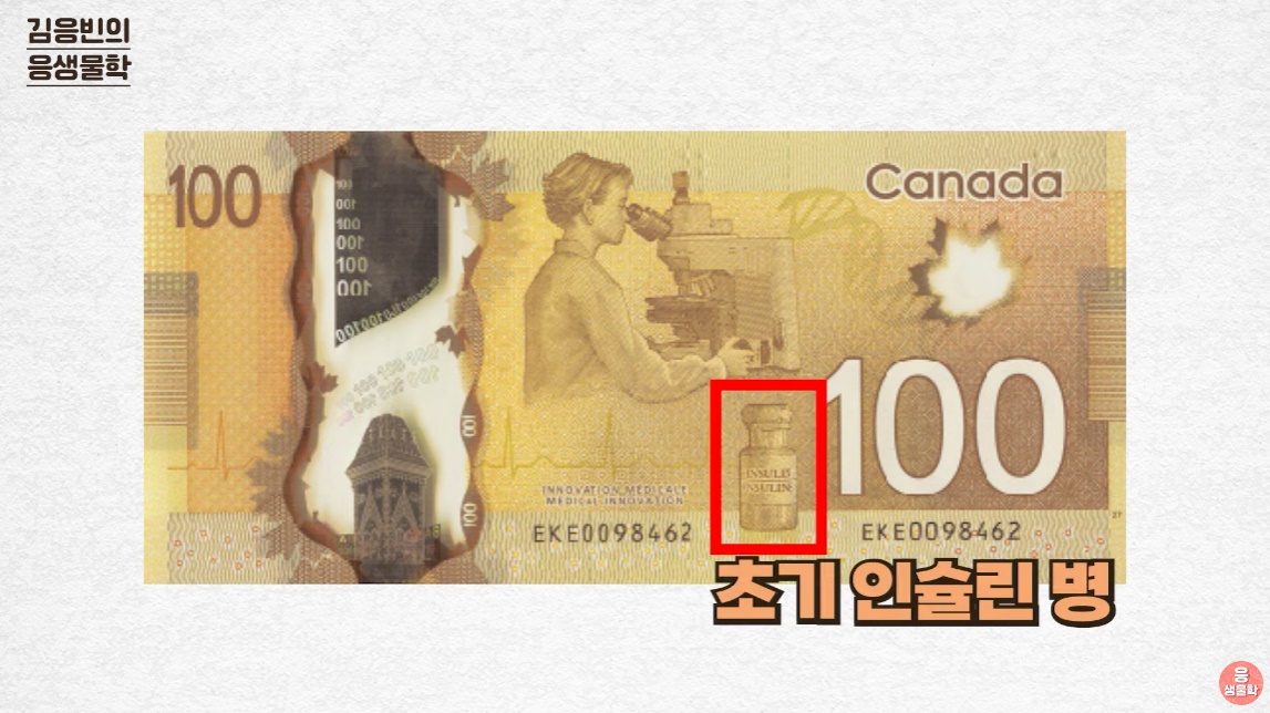 출처 : 유튜브 채널 '김응빈의 응 생물학'