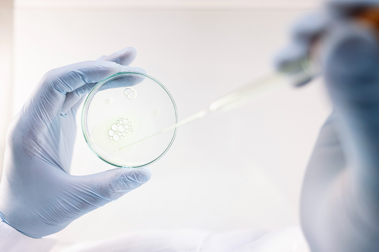 ※ 위 이미지는 기사 내용과 직접적인 연관이 없음 / Designed by Freepik (https://www.freepik.com/)