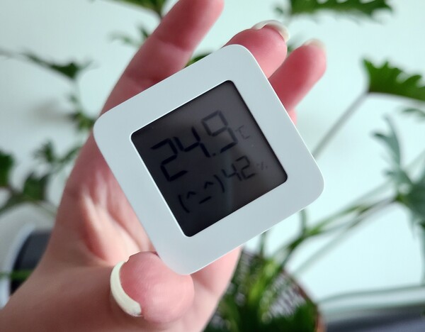 Designed by Freepik (https://www.freepik.com/)