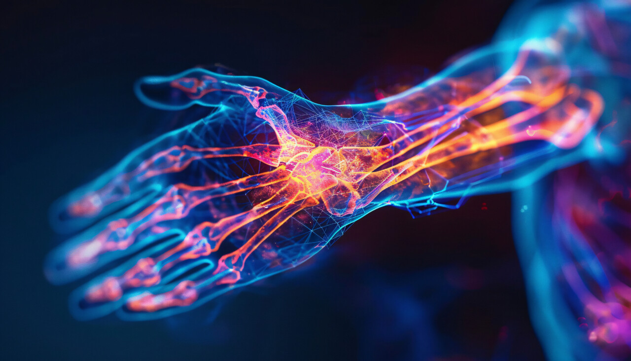 Designed by Freepik (https://www.freepik.com/)